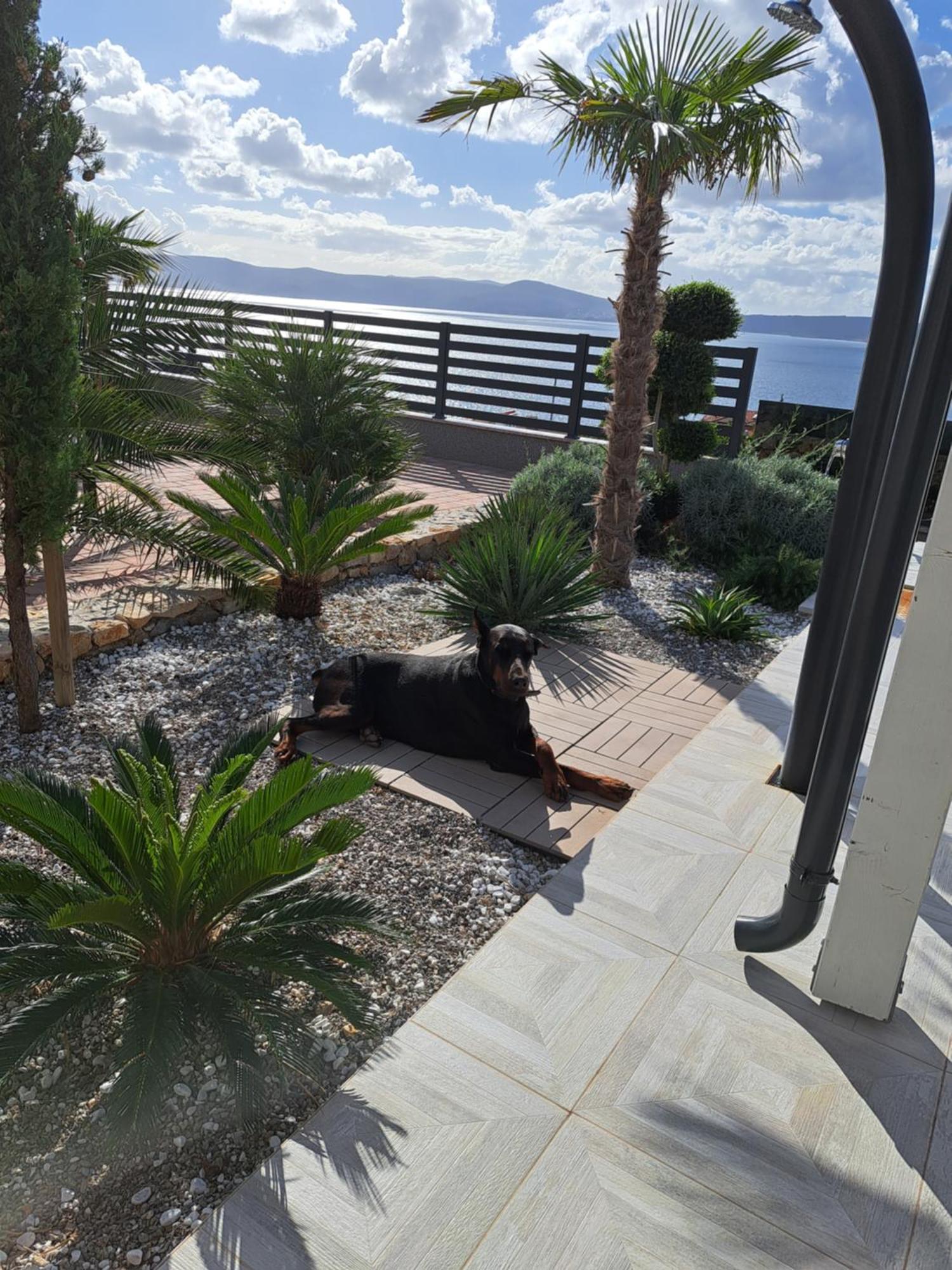 Belissima Vista Mare Villa *