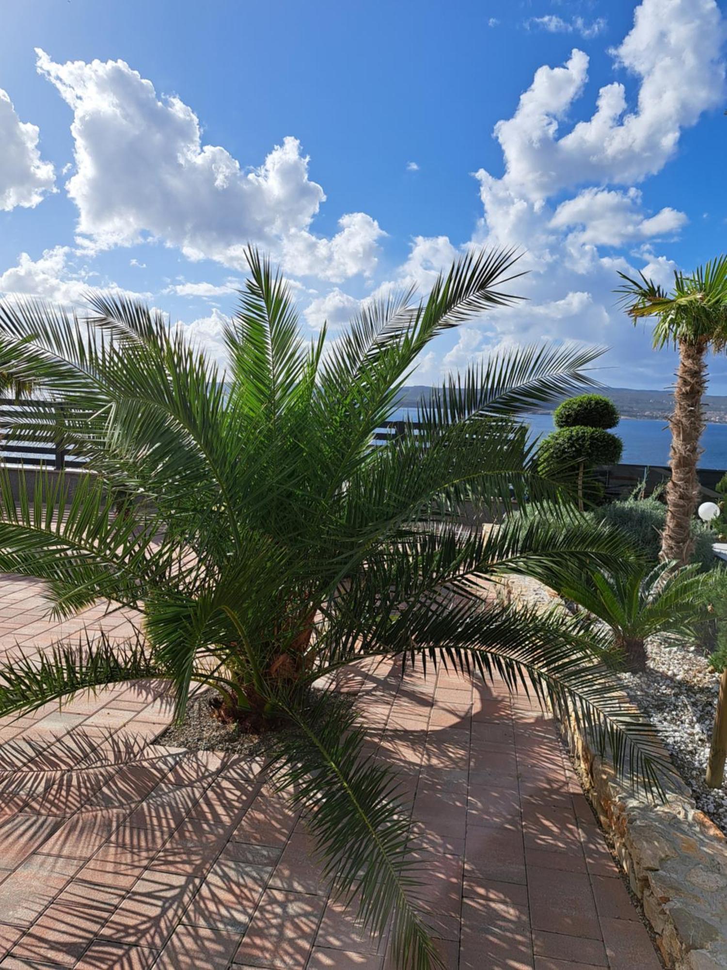 Villa Belissima Vista Mare